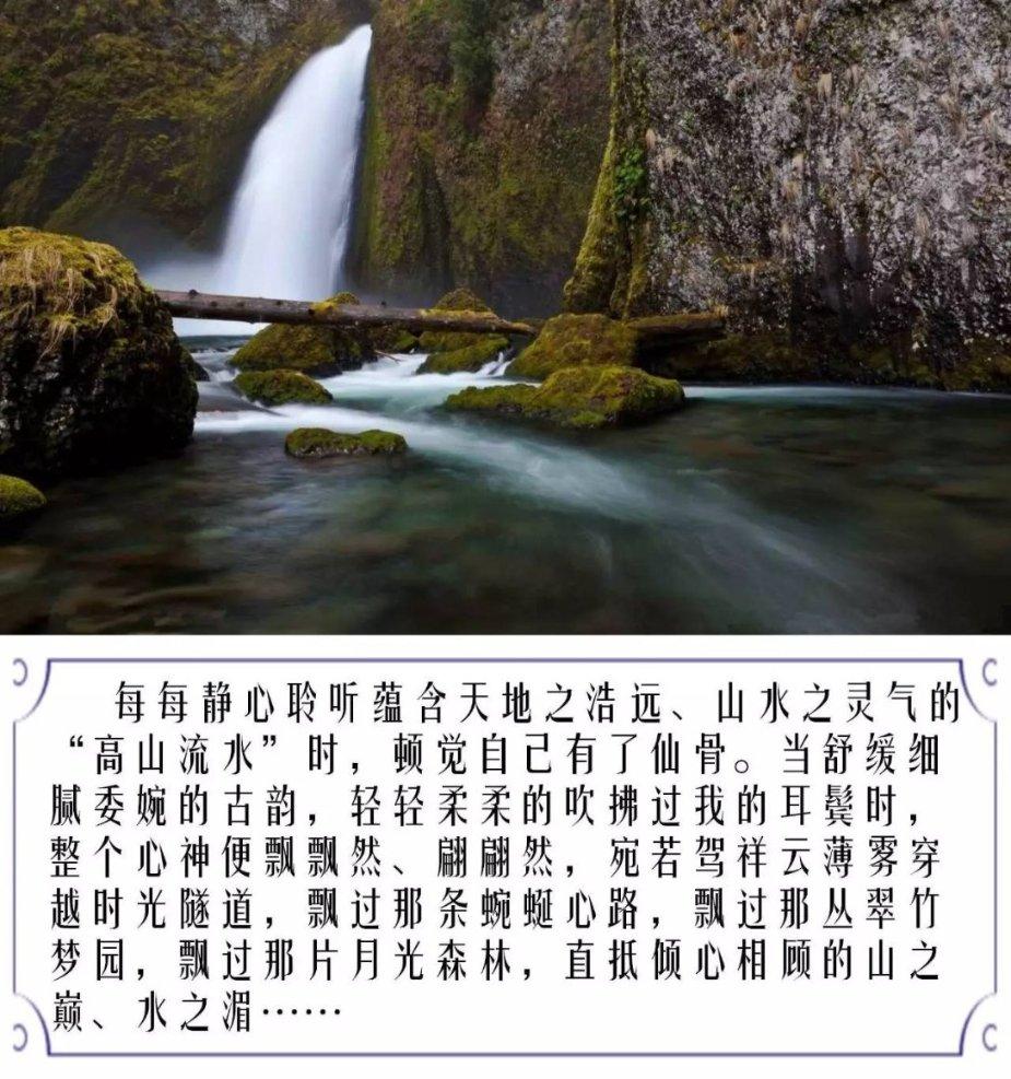 猎人：野性的呼唤